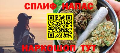 индика Можайск