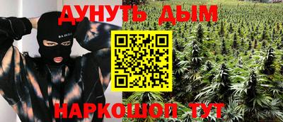 индика Можайск