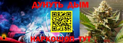 индика Можайск