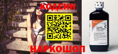 индика Можайск