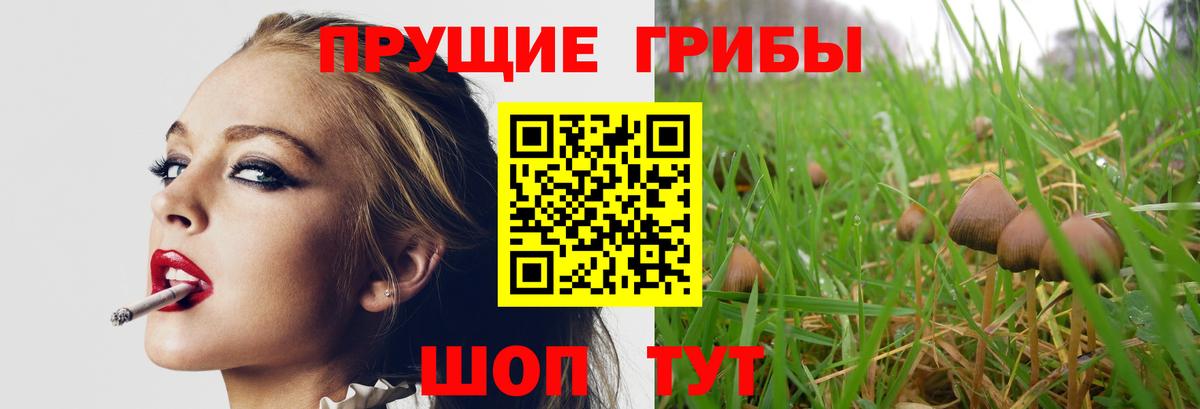 Галлюциногенные грибы ЛСД  Вход с VPN  Ртищево 